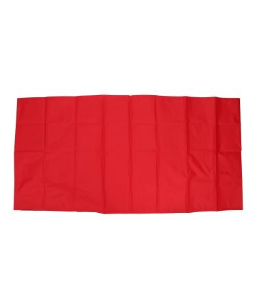 Buy Patient Slide Sheet - Breathable Nylon Transfer Aid for Hospitals & Home Care (140x68cm) - Buy Online on GoSupps.com