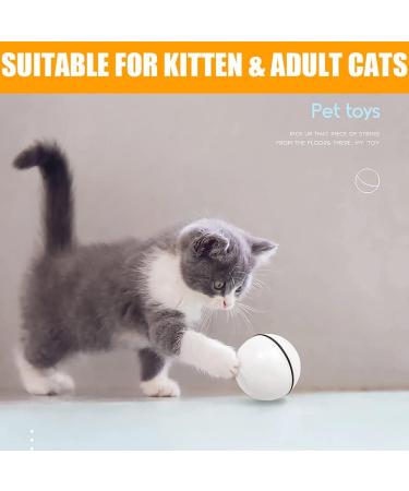 Smart Cat Ball Toy Interactive Cat Toys for Indoor Cats Adult Automatic 360 Rotating Kitten Toys with LED Light Stimulate Hunting Instinct - USB Rechargeable White - Buy Online on GoSupps.com
