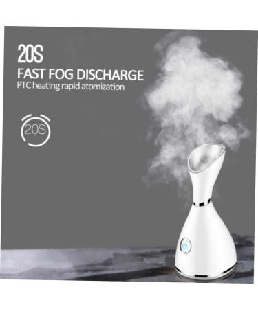Hemoton 2pcs nano cleansing instrument steaming face instrument household steaming face instrument - Buy Online on GoSupps.com
