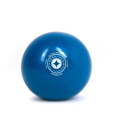 STOTT PILATES Toning Ball Blue 2-Pound