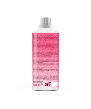 Gymqueen Zero Drink Apple Mint 1000ml - Low-Calorie Sugar-Free Beverage Concentrate with B Vitamins & L-Carnitine | Buy Now - Buy Online on GoSupps.com