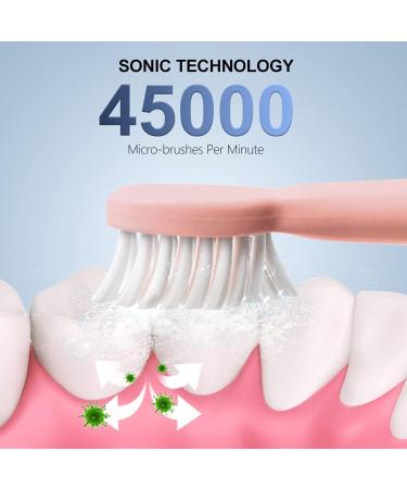 HAXAYOLO Sonic Electric Toothbrush - USB Rechargeable, 6 Modes, 5 Brush Heads, Whitening Toothbrush (Pink) - Buy Online on GoSupps.com