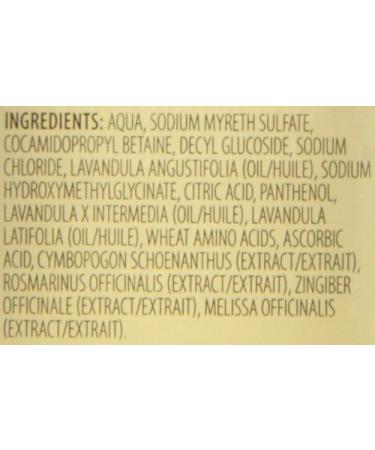 Shop Aura CACIA Relaxing Lavender Bubble Bath - 13 OZ | Soothing Aromatherapy for Stress Relief | International Shipping Available - Buy Online on GoSupps.com