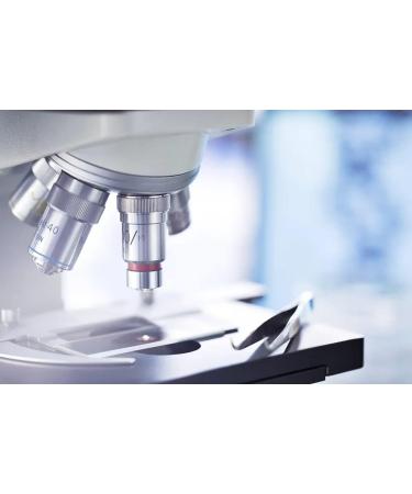 Crystalina Daily Premium Adult Dog Food with Turkey and Chicken | Canned Dog Food | High Meat Content up to 87% | Wheat Free | 3 Pack (3 x 850 g) - Buy Online on GoSupps.com