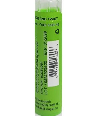 Argentum Nitricum 200K Homeopathy Medicine Schmidt-Nagel Canada (Homeodel) 90 pellets/granules - Buy Online on GoSupps.com