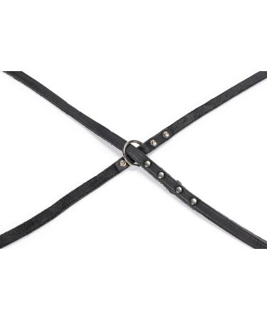 Buy Karlie Rondo Black Dog Leash 200cm - Durable Riveted Design for Ultimate Control | International Shipping Available - Buy Online on GoSupps.com