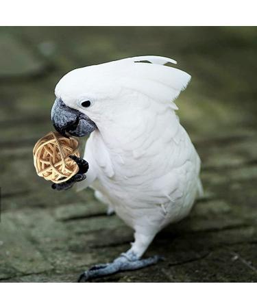 Bird Parrot Toys Swing Hanging - 18 Piece Set for Parakeets, Cockatiels, Lovebirds, Conures, Budgie, Macaws, Finches and Small Pets - Cage Accessories with Perch, Ladder, Chewing Toys, Hammock - Buy Online on GoSupps.com