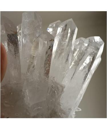 Natural Raw Quartz White Clear Crystal Cluster Stones Crystal Point Specimen Home Decoration Raw Crystals Household yuebang ERBDRGAZ (Size : 801-950g) - Buy Online on GoSupps.com