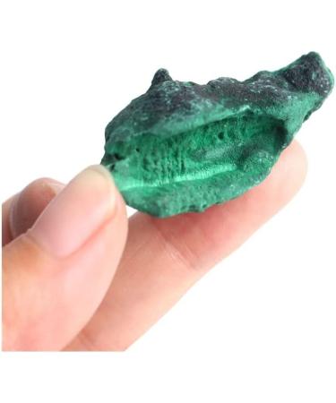 Natural Crystal Rough 1 Pack Raw Natural Malachite Landscape Green Quartz Gem Specimen RoughSuitable for DIYStones (Size : 5-10g) (Size : 10-20g) - Buy Online on GoSupps.com