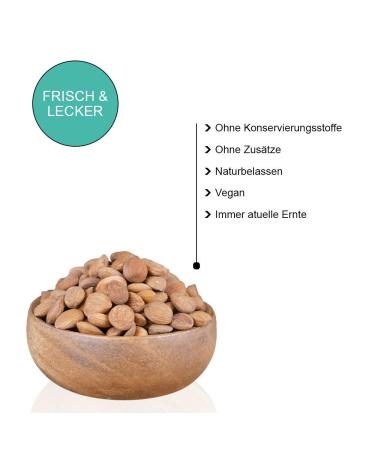 Buy Aprico Unsalted Bitter Kernels - 100% Natural No Preservatives 1kg & 5kg Reclosable Packaging - Buy Online on GoSupps.com