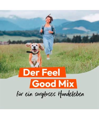 Hokamix30 Classic Powder for Dogs - 30 Essential Herbs Supplement (800g) - Original Gray All-Rounder Mix for Dog Health - Buy Online on GoSupps.com