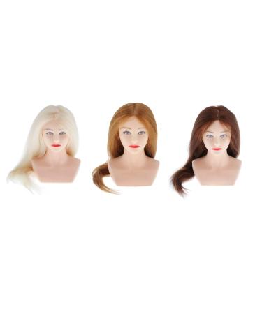 27 Training Heads for Hairdressers - Professional Female Practice Dolls with Wig - Ideal for Makeup & Hair Styling - Buy Online on GoSupps.com