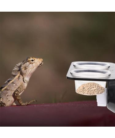Balacoo Gecko Feeding Cups 1 Set Gecko Feeding Ledge Reptile Tank Supplies Suction Cup Reptile Feeder Reptile Feeding Platform for Reptile Lizard Gecko Home Crested Gecko Food Ledge - Buy Online on GoSupps.com
