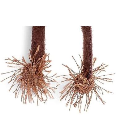 Petface Catkins Cat Finger Teaser - Interactive Cat Toy - Buy Online on GoSupps.com