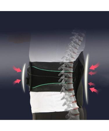 Buy Indian Lumbar Support Belt for Pain Relief | Back Support for Sciatica Herniated Disc Scoliosis - Unisex Adjustable Strap - Buy Online on GoSupps.com