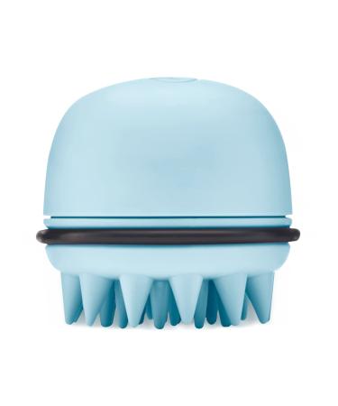 Wet Brush Exfoliating Scalp Massager, Head Start, Blue, Multi-Benefit Brush Cleans, Detoxifies and Rejuvenates Your Hair to Stay Healthy and Strong, Gentle for Sensitive Scalps