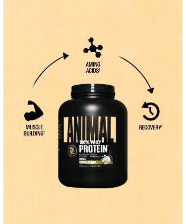Animal 100% Whey Protein Powder Whey Blend for Pre Workout or Post Workout Recovery or an Anytime Low Sugar Protein Boost Meal Replacement with BCAA Branched Chain Amino Acids Vanilla 4 lb Vanilla 4 Pound (Pack of 1) - Buy Online on GoSupps.com