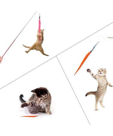 H02NLE Cat Teaser Wand with 5 Refills - Interactive Feather Toys for Indoor Cats - Buy Online on GoSupps.com