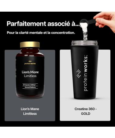Protein Works | Creatine 360 GOLD Innovation Monohydrate de Cr atine CoQ10 Aquamin Vitamines D3 & B6 Magn sium Focus & Clart Mentale Soutien Cellulaire Orange & Mangue 60 Portions 300g Orange & Mangue 60 Shakes (300g) - Buy Online on GoSupps.com