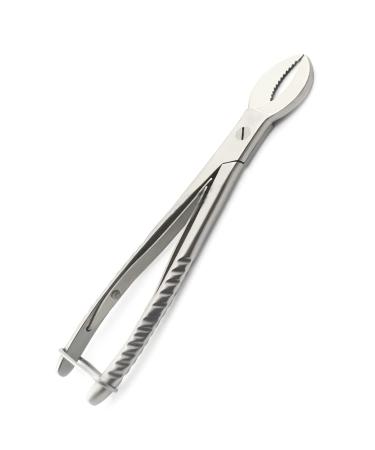 Cow Horn Plaster Nipper Surgicl Dental Instruments