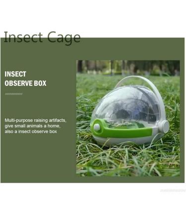 Mipcase 1 Set Box Breeding Box Kids Magnifying Glasses Critter Keeper Observation Supply Shell - Buy Online on GoSupps.com