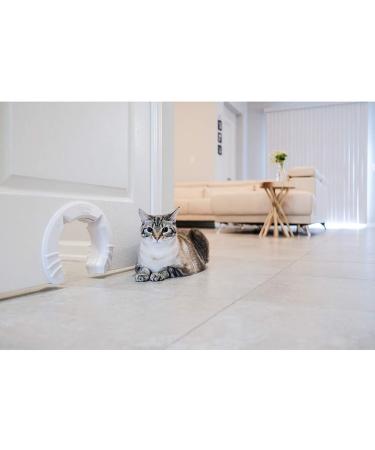 Interior Cat Door for Small, Medium & Large Cats - Fits Hollow Core or Solid Inside Doors - Hidden Kitty Litter Box Furniture - White - Buy Online on GoSupps.com