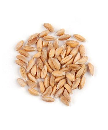 Farro, 10 Lb Bag