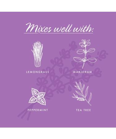 Now Foods Organic Lavender Essential Oil 1 fl oz - Pure Aromatherapy - 30 ml - Buy Online on GoSupps.com