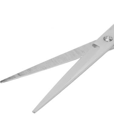 Hair Cutting Scissors Straight Hairdressing Shears Stainless Steel Tool for Home Salon - Buy Online on GoSupps.com