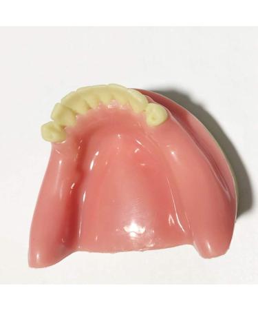 DYTAH Dental Implant Teeth Model - Lower Jaw 6 Teeth for Dental Students | Soft Gum Teeth Teaching Aid - Buy Online on GoSupps.com