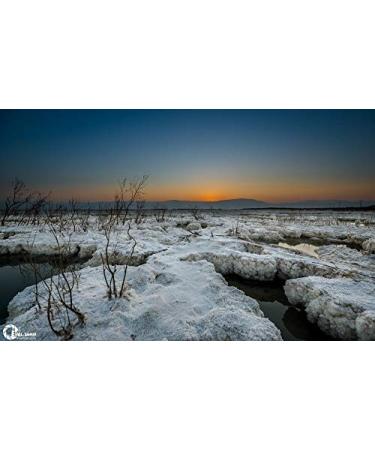 Black Pearl Luxury Body Cream - Revitalize Your Skin | Shop Internationally & Indulge in Luxury - Buy Online on GoSupps.com