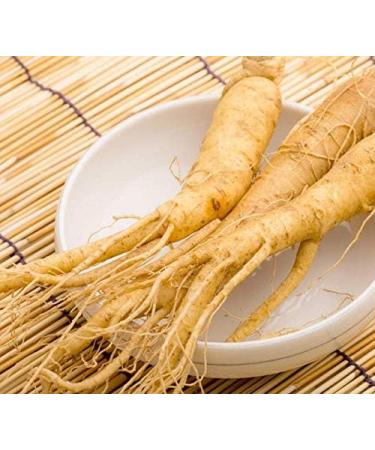 ADAPTOGEN Supplement - Astragalus Root Rhodiola rosea Holy Basil Leaf Amla Fruit Eleutherococcus senticosus Schisandra Fruit Panax Ginseng Maca Adaptogen Blend Natural 3Bot - Buy Online on GoSupps.com