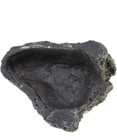 Buy BICAQUU Reptile Habitats & Fish-Inserting Cave - Ideal for Turtles & Small Pets | International Shipping - Buy Online on GoSupps.com