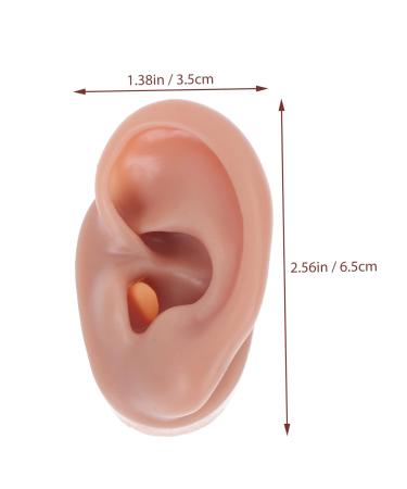 Angoily Human Ear Acupuncture Model - 1pc Silicone Display Ear Simulator for Massage & Learning | 6.5x3.5cm - Buy Online on GoSupps.com