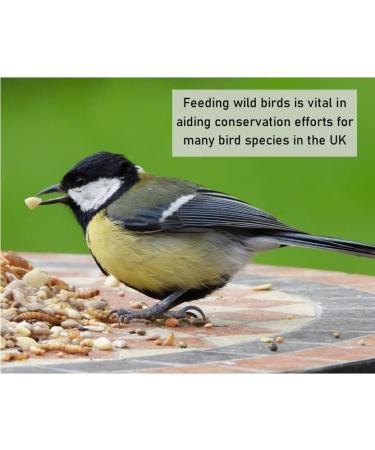 *NEW* 3 Litre Refill Bag Mixed Suet Pellets Wild Life Food Garden Seed Feed (Weight 1.8kg/approx. 3L) 3LW - Buy Online on GoSupps.com