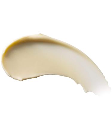 Burt's Bees Milk & Honey Body Lotion 12 oz - Nourishing Moisturizer for Soft Skin - Buy Online on GoSupps.com