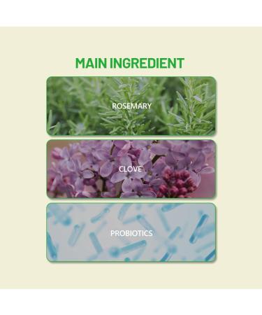 DISAAR Beauty Rosemary Toothpaste Herbal Extract Clove Probiotics Removes Stains Stronger Teeth 100g / 3.38oz - Buy Online on GoSupps.com