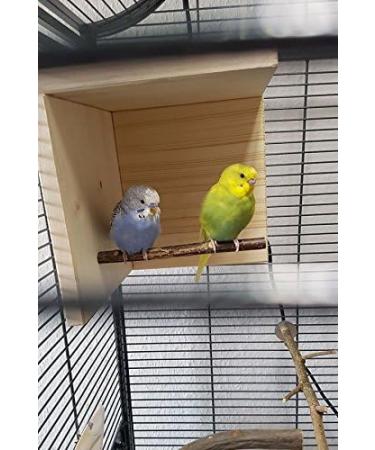 Natural Budgie Sleeping House with Perch - Top Bird Accessories for a Comfortable Cage - Buy Online on GoSupps.com