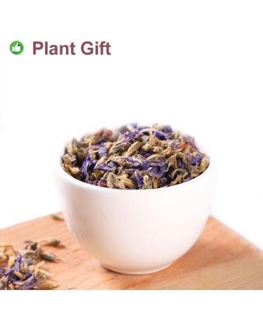 Premium Organic Pueraria Lobata Flower Tea - 100% Loose Dried Herbal Tea for Skin Care & Health - 50g / 1.7oz - Buy Online on GoSupps.com