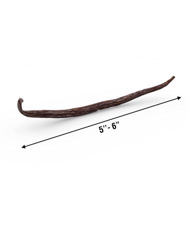 Premium Madagascar Vanilla Beans Grade A - Pack of 10 Whole Bean Sticks for Baking, Ice Cream & Extract - 5-6 Long Pods - 10 Count - Buy Online on GoSupps.com