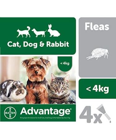 Advantage Spot On Flea Treatment 40 Small Cats Dogs and Rabbits 4 pipettes Small Cats Dogs and Rabbits (&lt 4kg) - Buy Online on GoSupps.com