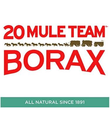 20 Mule Team All Natural Borax 65oz - Pack of 4 | Laundry Detergent Booster & Household Cleaner - Buy Online on GoSupps.com