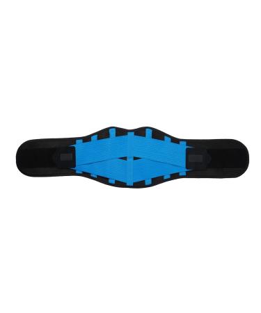 Buy Blue XL Lumbar Support Belt - Decompression Pain Relief & Posture Correction for Sciatica Scoliosis & Weightlifting - Adjustable for Men & Women - Buy Online on GoSupps.com