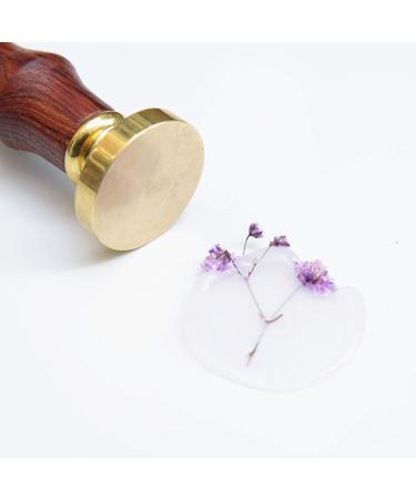UNIQOOO 1 Inch Round Blank Wax Seal Stamp for Wedding Invitations  Solid Brass Head Without Engraving - Perfect for Party Invitations  Envelopes  Snail Mails  Christmas Wrapping  DIY Projects Clear
