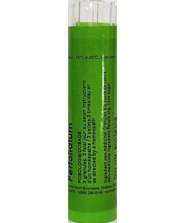 Eupatorium Perfoliatum 6CH Homeopathy Medicine Schmidt-Nagel Canada (Homeodel) 90 pellets/granules - Buy Online on GoSupps.com