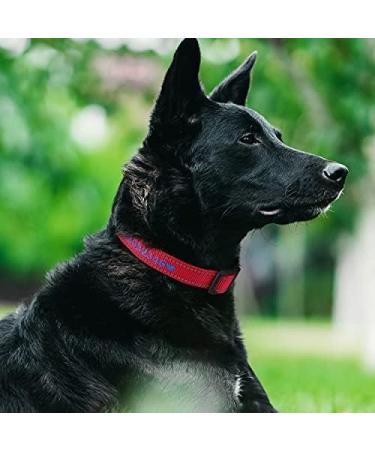 Tagme Personalized Dog Collar for Medium Dogs - Embroidered Reflective Nylon with Pet Name & Phone Number - Red - 1 Pack - Buy Online on GoSupps.com