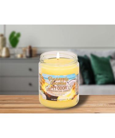 Pet Odor Exterminator Candle Pineapple & Coconut - Pack of 2 | Specialty Pet Products - Buy Online on GoSupps.com