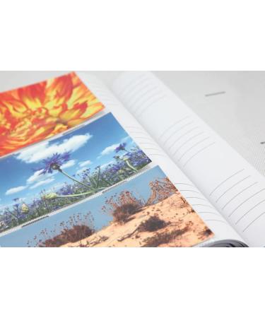 Teddy Bear Photo Album for 300 Photos | 10x15 cm Baby & Children Memo Album | Perfect Gift for Kids - Buy Online on GoSupps.com