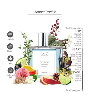 EMS Elyysium Perfume for Men | Aromatic Citrus Amber Fresh Spicy Fragrance | Eau de Parfum Spray | Luxury Gift for Him | (50ml / 1.7 Fl Oz) - Buy Online on GoSupps.com