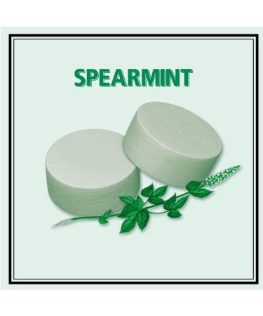 Altoids Menthe - Menthe verte 1 76 oz tain 12 unit s - Buy Online on GoSupps.com